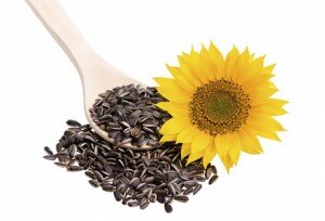 Sunflower seed on a wooden spoon with sunflower