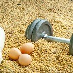 Продукты, содержащие белок